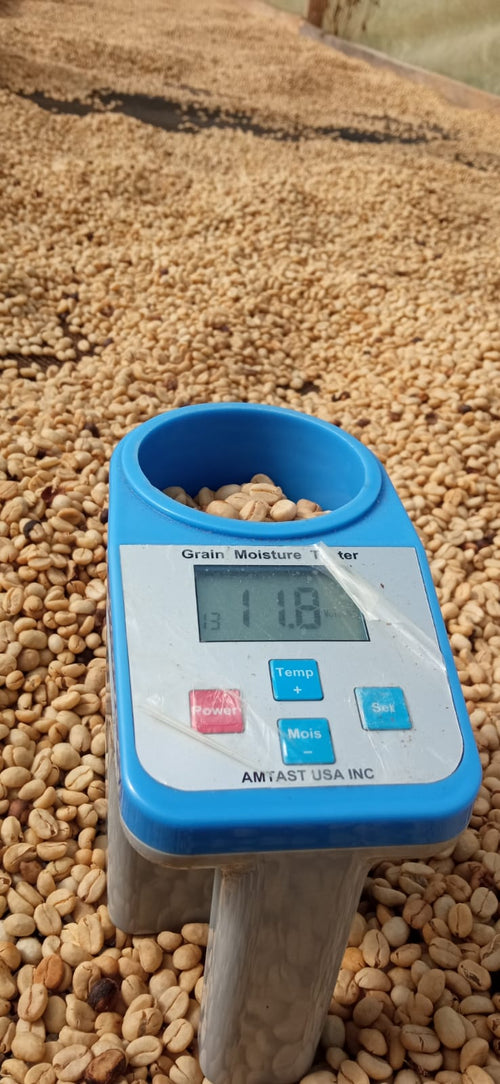 Colombia Fully Washed Espresso Roast